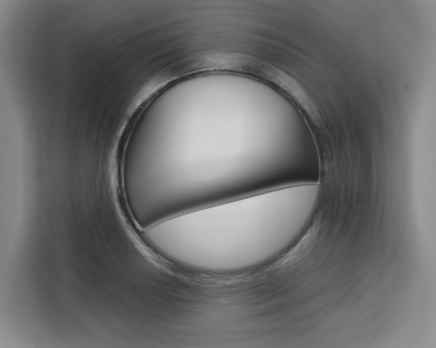 X0000111451034200907131037