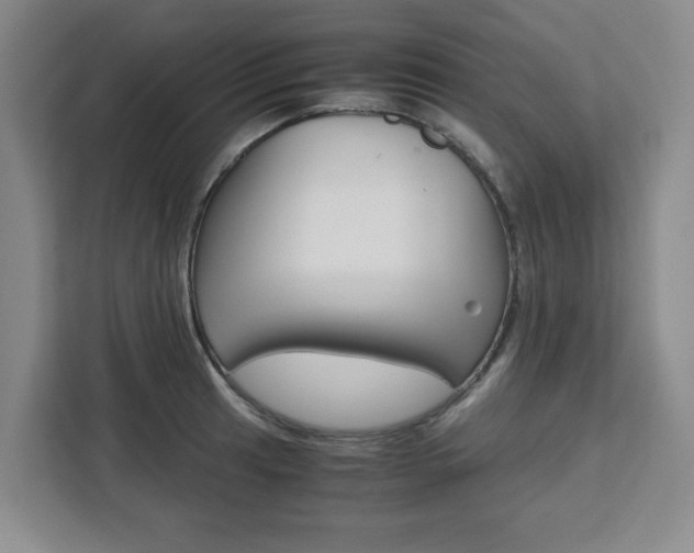 X0000111451041200907131037