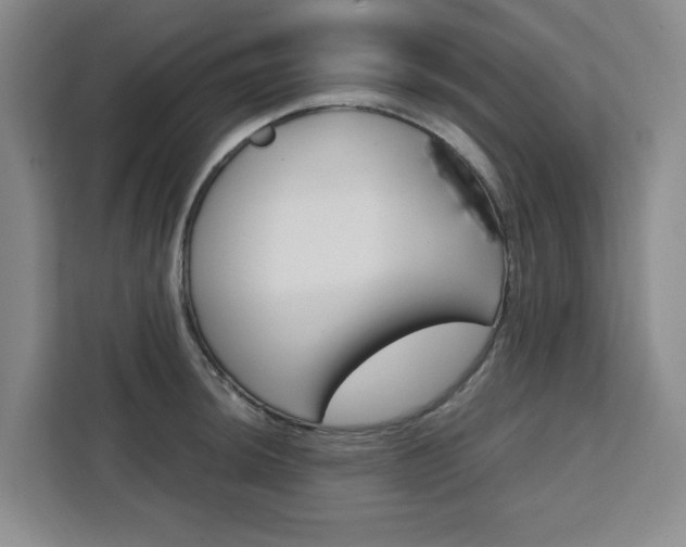 X0000111451044200907131037