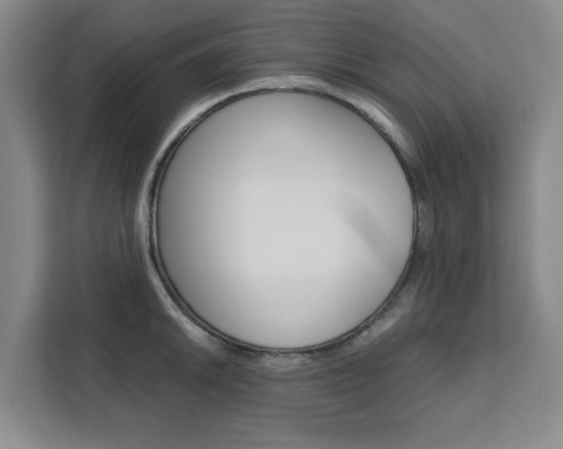 X0000111451046200907131037