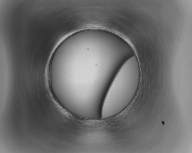 X0000111451056200907131037