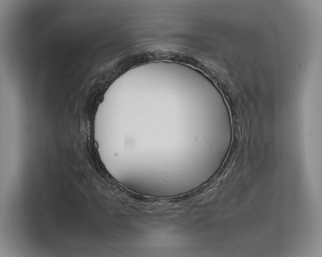 X0000111451061200907131036