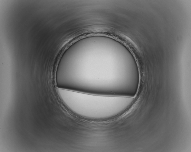 X0000111451065200907131036