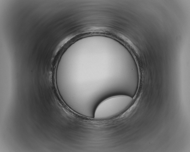 X0000111451066200907131036