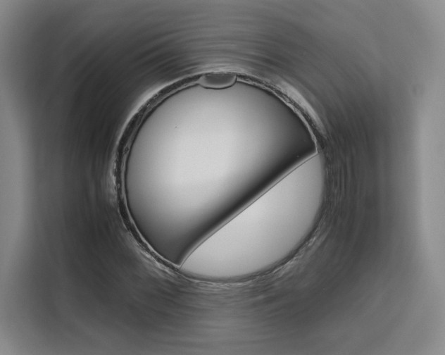 X0000111451068200907131036