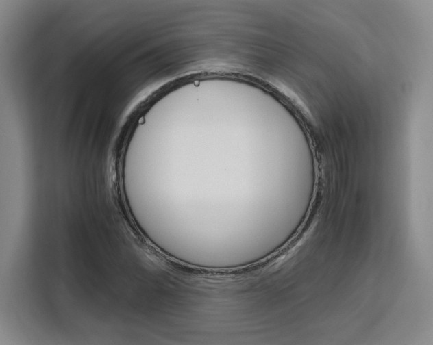 X0000111451070200907131036