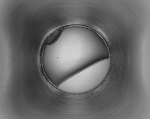 X0000111451072200907131036