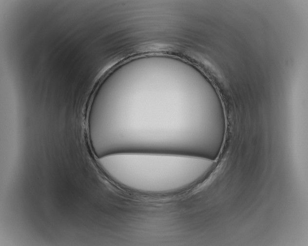 X0000111451073200907131036