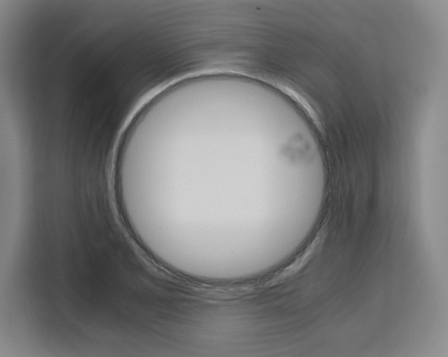 X0000111451077200907131036