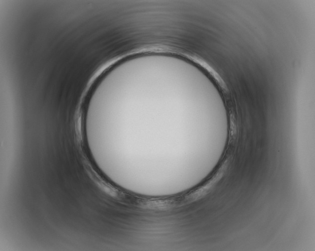 X0000111451078200907131036