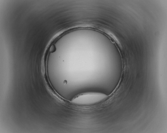 X0000111451080200907131036