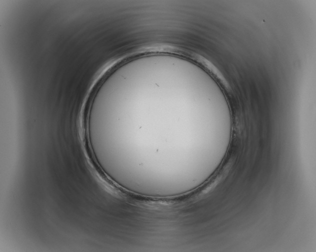 X0000111451082200907131036