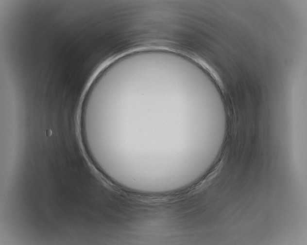 X0000111451085200907131036