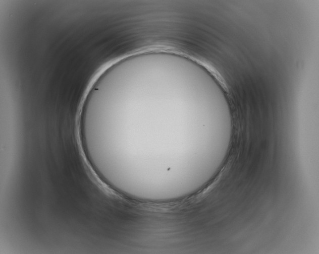 X0000111451086200907131036
