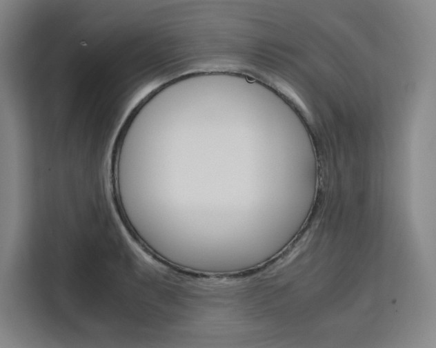 X0000111451087200907131036