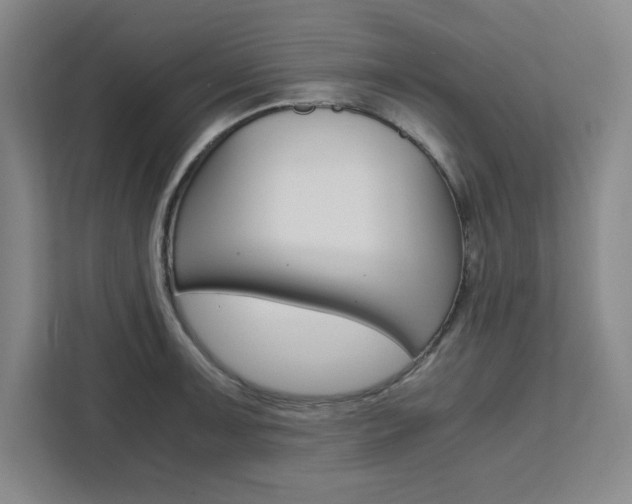 X0000111451091200907131036