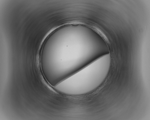 X0000111451092200907131036