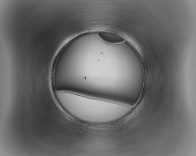 X0000111451093200907131036
