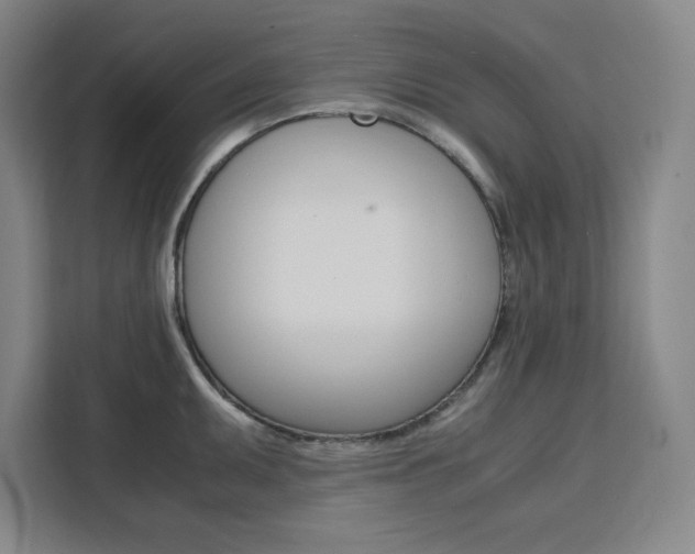 X0000111451095200907131036