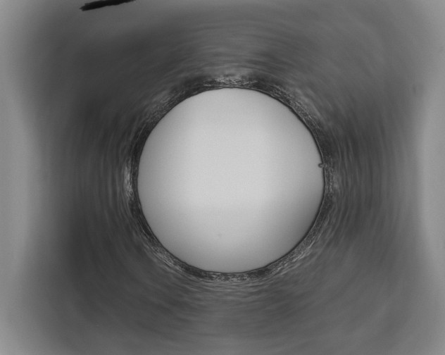 X0000111451106200907131035