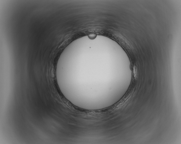 X0000111451107200907131035