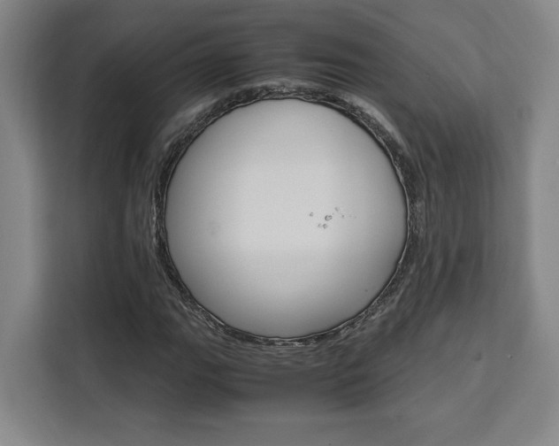 X0000111451111200907131035