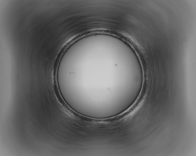 X0000111451113200907131035