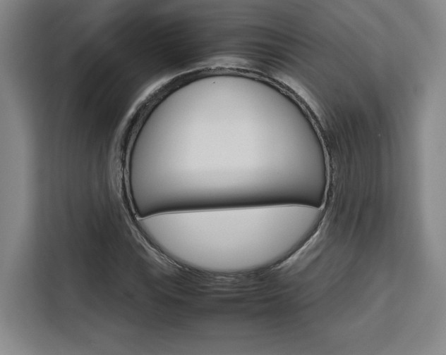 X0000111451115200907131035
