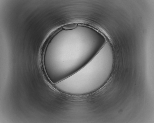 X0000111451116200907131035