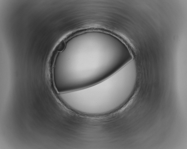 X0000111451118200907131035
