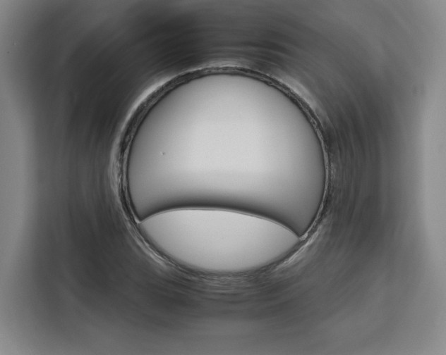 X0000111451119200907131035
