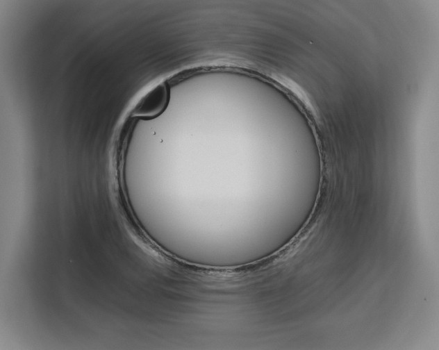 X0000111451120200907131035