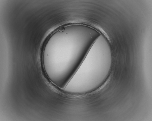 X0000111451122200907131035