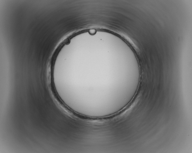 X0000111451126200907131035