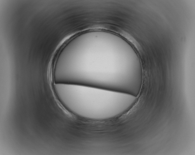 X0000111451127200907131035