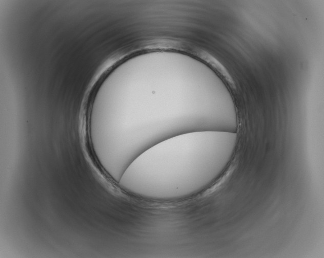 X0000111451130200907131035