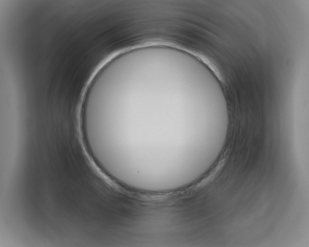 X0000111451134200907131035