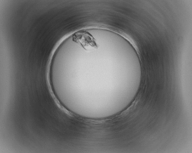 X0000111451136200907131035
