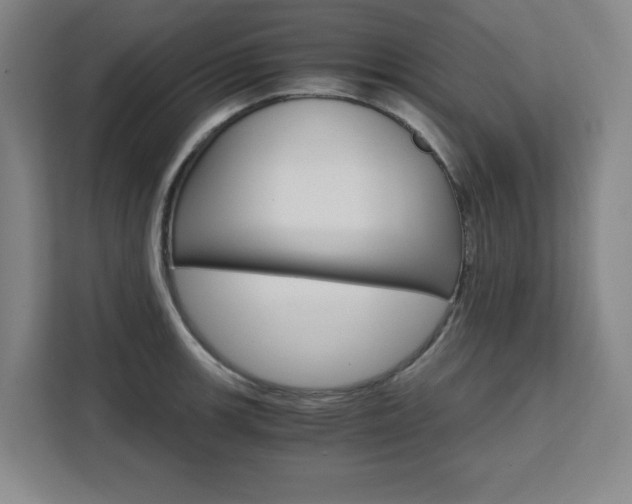 X0000111451139200907131036