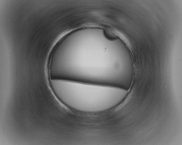 X0000111451141200907131036