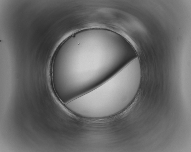 X0000111451142200907131036