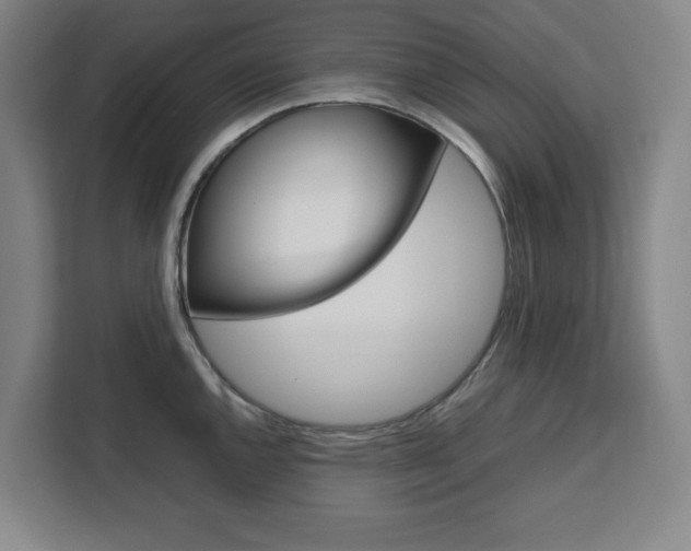 X0000111451144200907131036