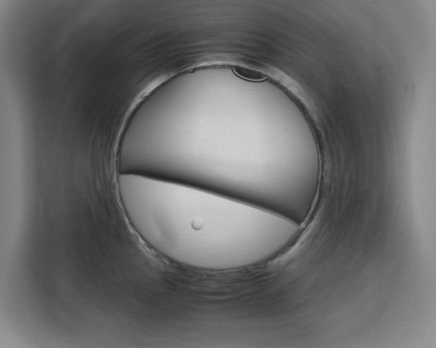 X0000111451145200907131036