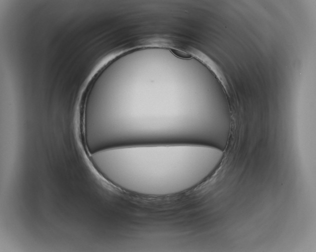 X0000111451147200907131036