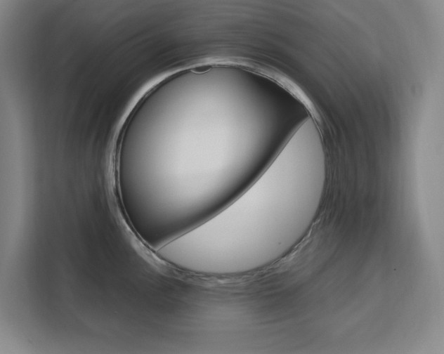 X0000111451148200907131036