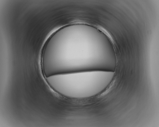 X0000111451149200907131036