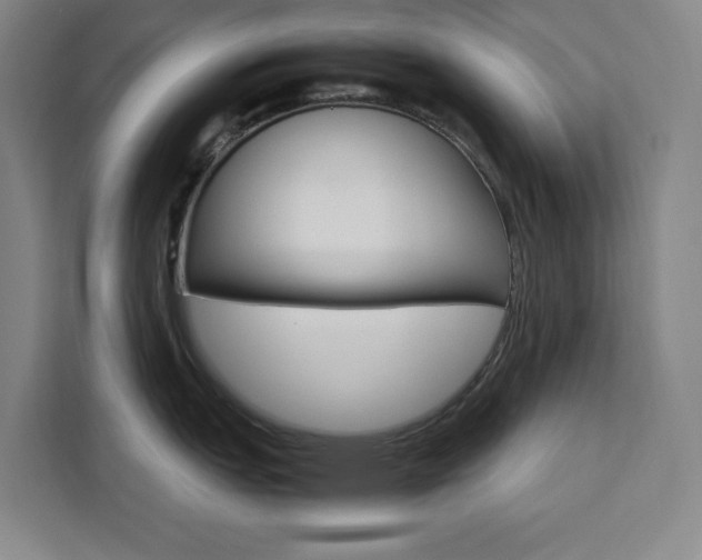 X0000111451151200907131036