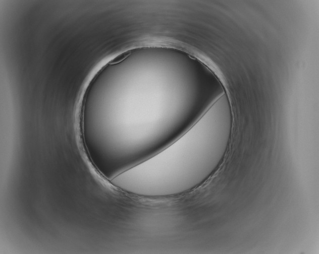 X0000111451152200907131036