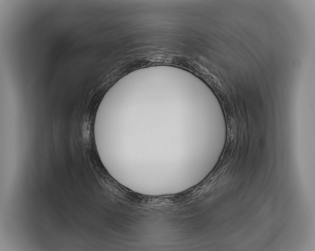 X0000111451154200907131035