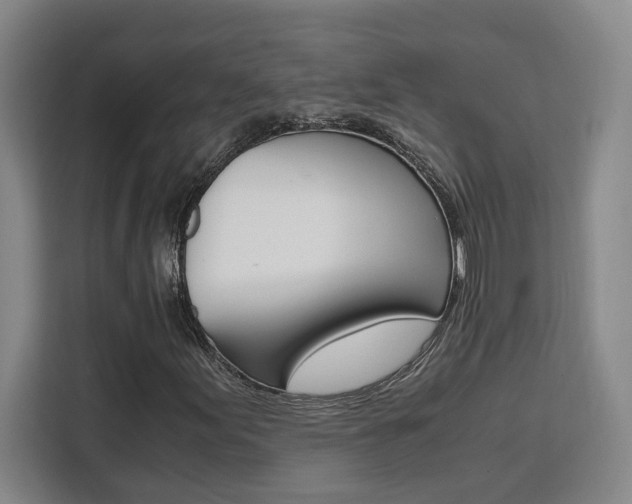 X0000111451155200907131035